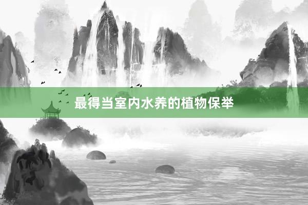 最得当室内水养的植物保举