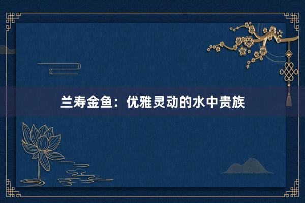 兰寿金鱼：优雅灵动的水中贵族